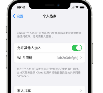 永定apple服务站点分享iPhone上个人热点丢失了怎么办 