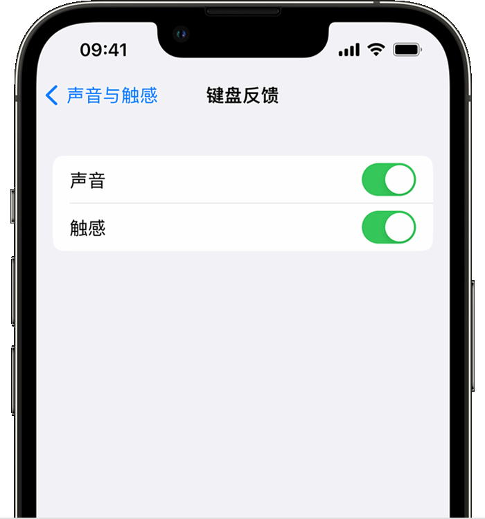 永定苹果14维修店分享如何在 iPhone 14 机型中使用触感键盘 