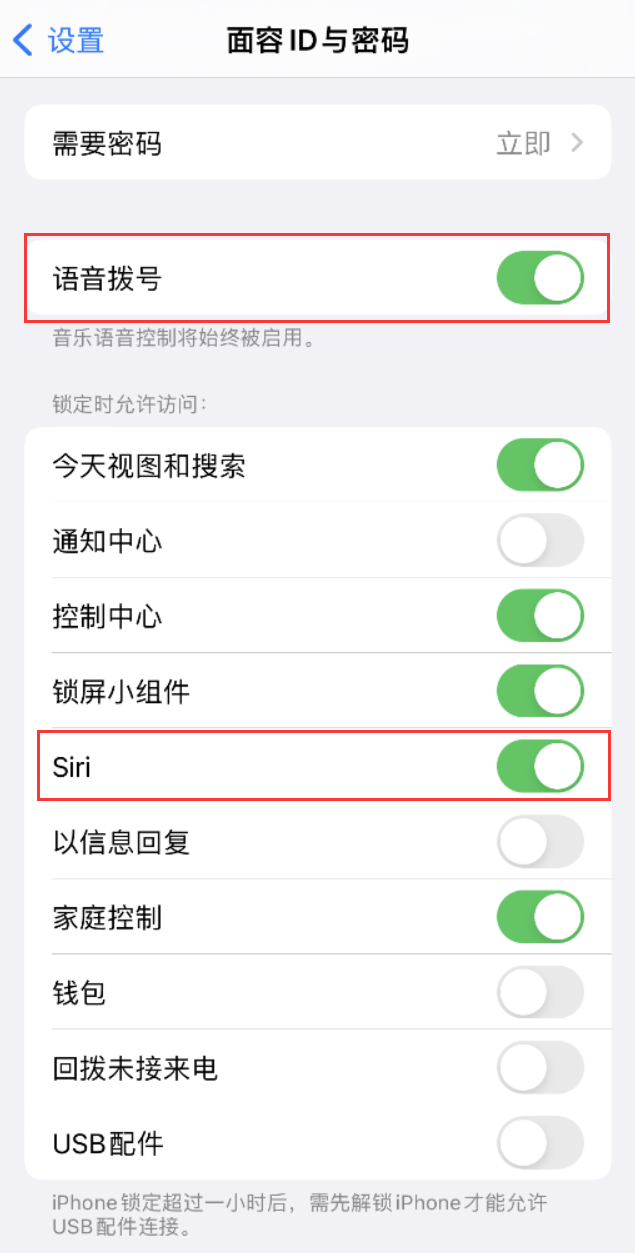 永定苹果维修网点分享不解锁 iPhone 的情况下通过 Siri 拨打电话的方法 