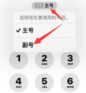 永定苹果14维修店分享iPhone 14 Pro Max使用副卡打电话的方法 