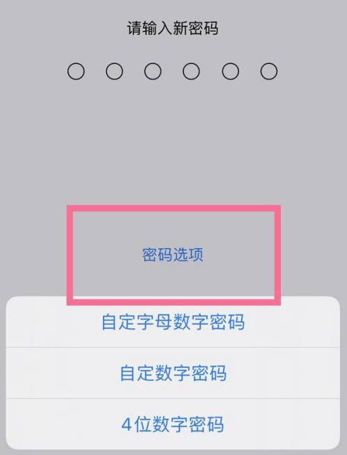 永定苹果14维修分享iPhone 14plus设置密码的方法 