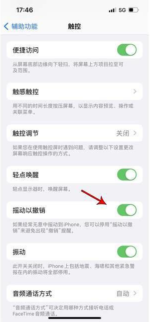 永定苹果手机维修分享iPhone手机如何设置摇一摇删除文字 