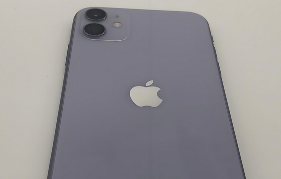 永定苹果11系统维修分享iPhone11手机系统崩溃无法开机如何解决 